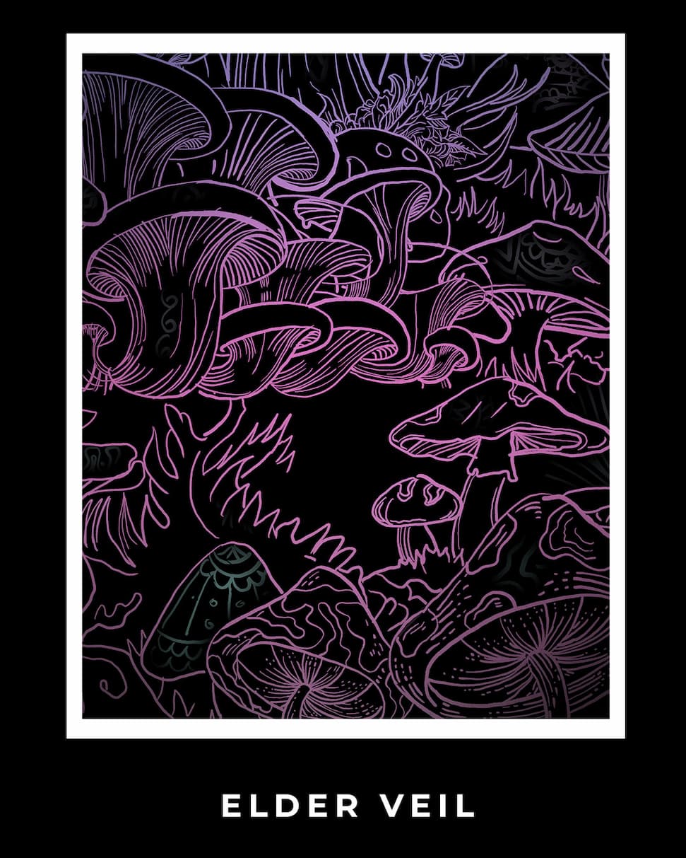 Artwork Explained: Elder Veil
