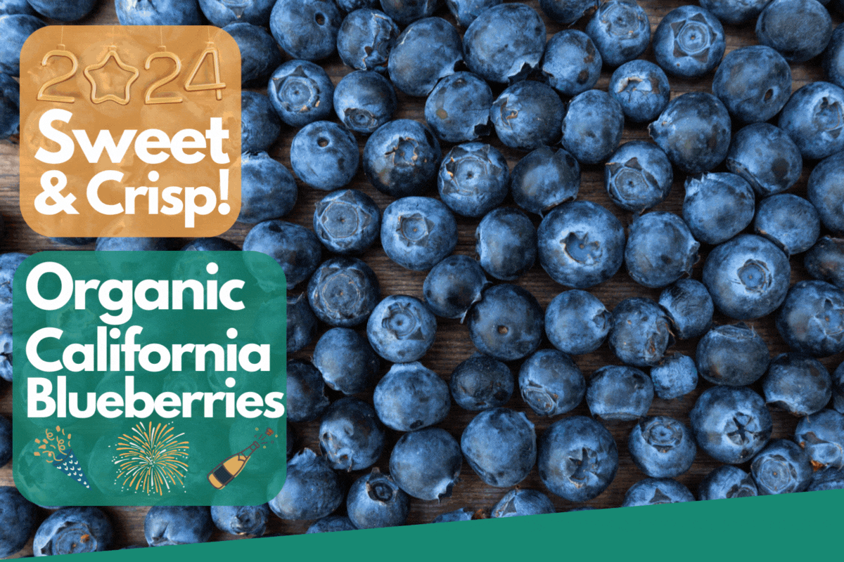 Organic blueberries