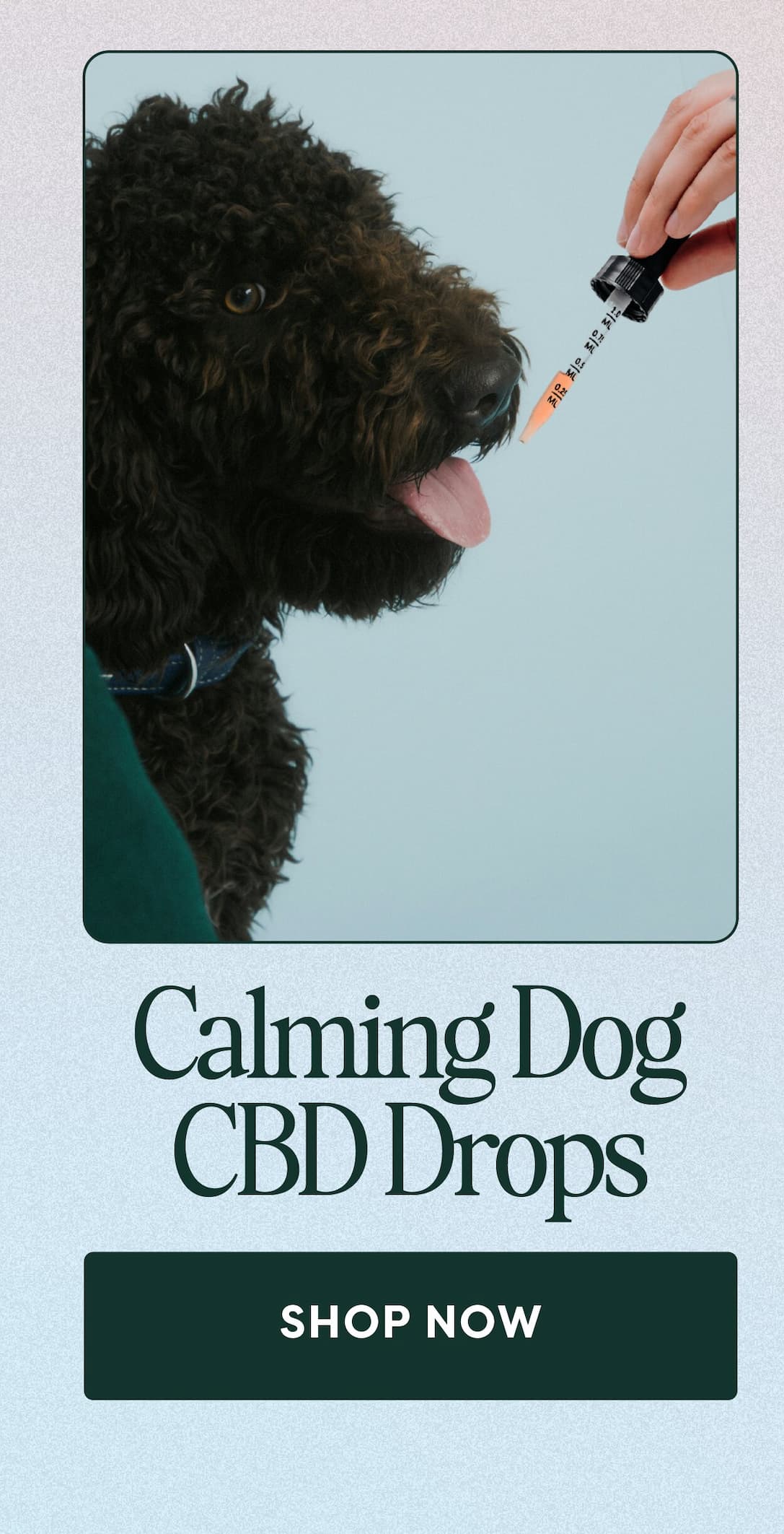 Calming Dog CBD Drops. SHOP NOW