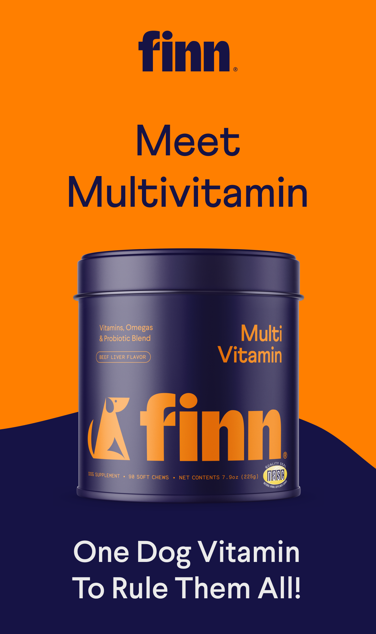 Meet Multivitamin One Vitamin To Rule Them All. Pet Finn