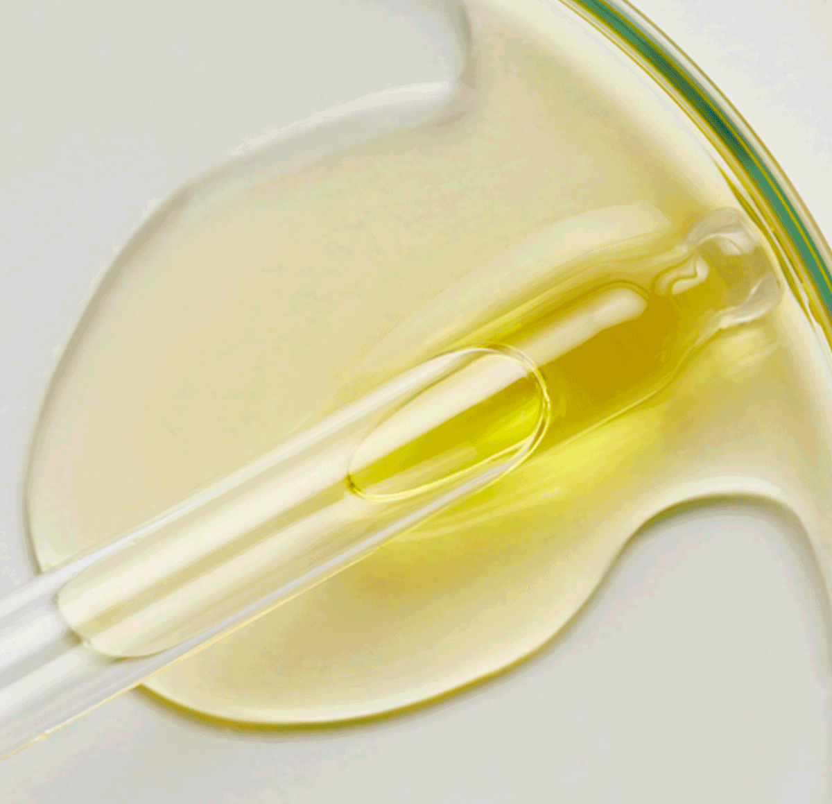 Are they on the naughty list? Attitude Living