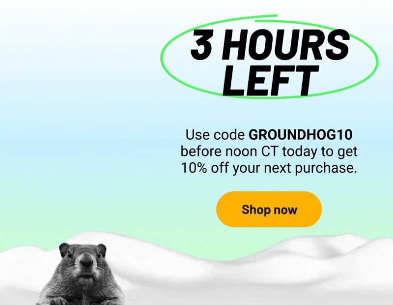 3 hours left: Use code GROUNDHOG10 before noon CT today to get 10% off your next purchase. 