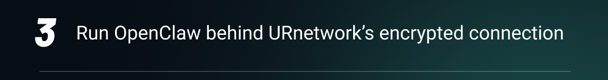 Step 3. Run OpenClaw behind URnetowork's encrypted connection. 