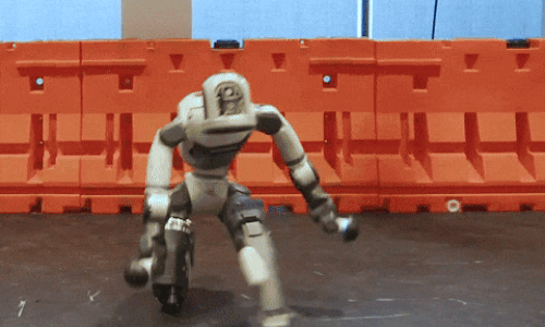 Weekly Roundup