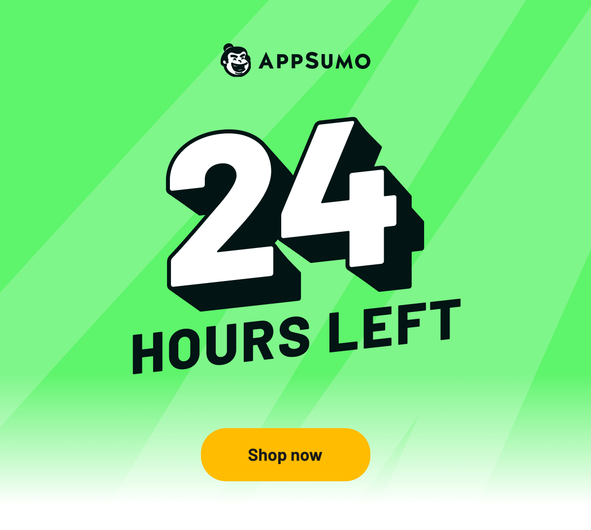 24 hours left: spend $100, get 10% off