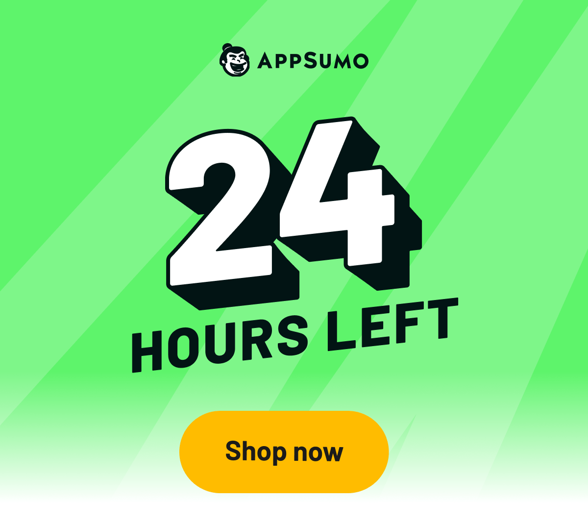 24 hours left: spend $100, get 10% off