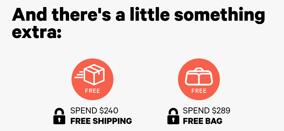 Spend $240+ and get free shipping / Spend $289+ and get a bag on us.