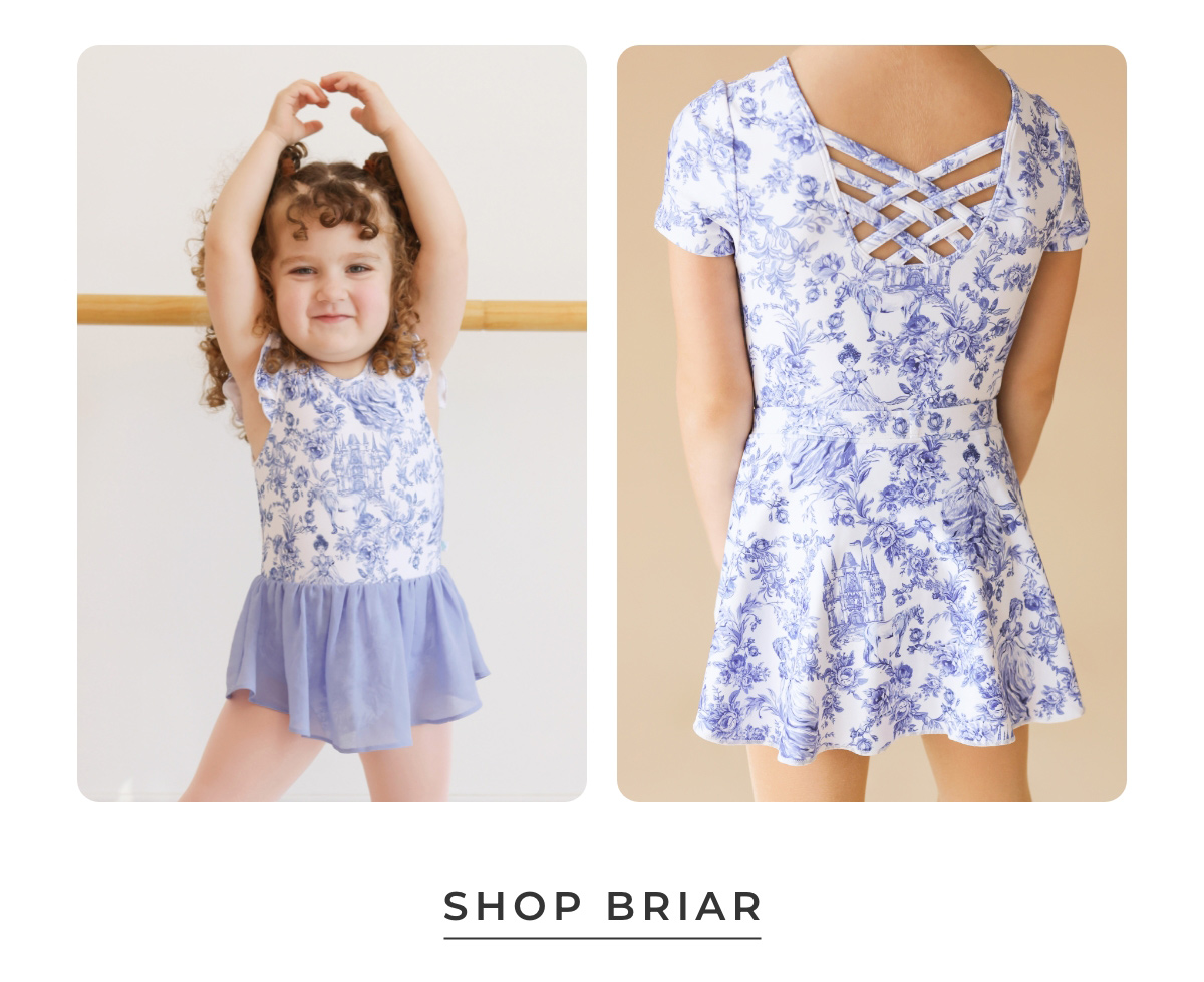 Shop Briar