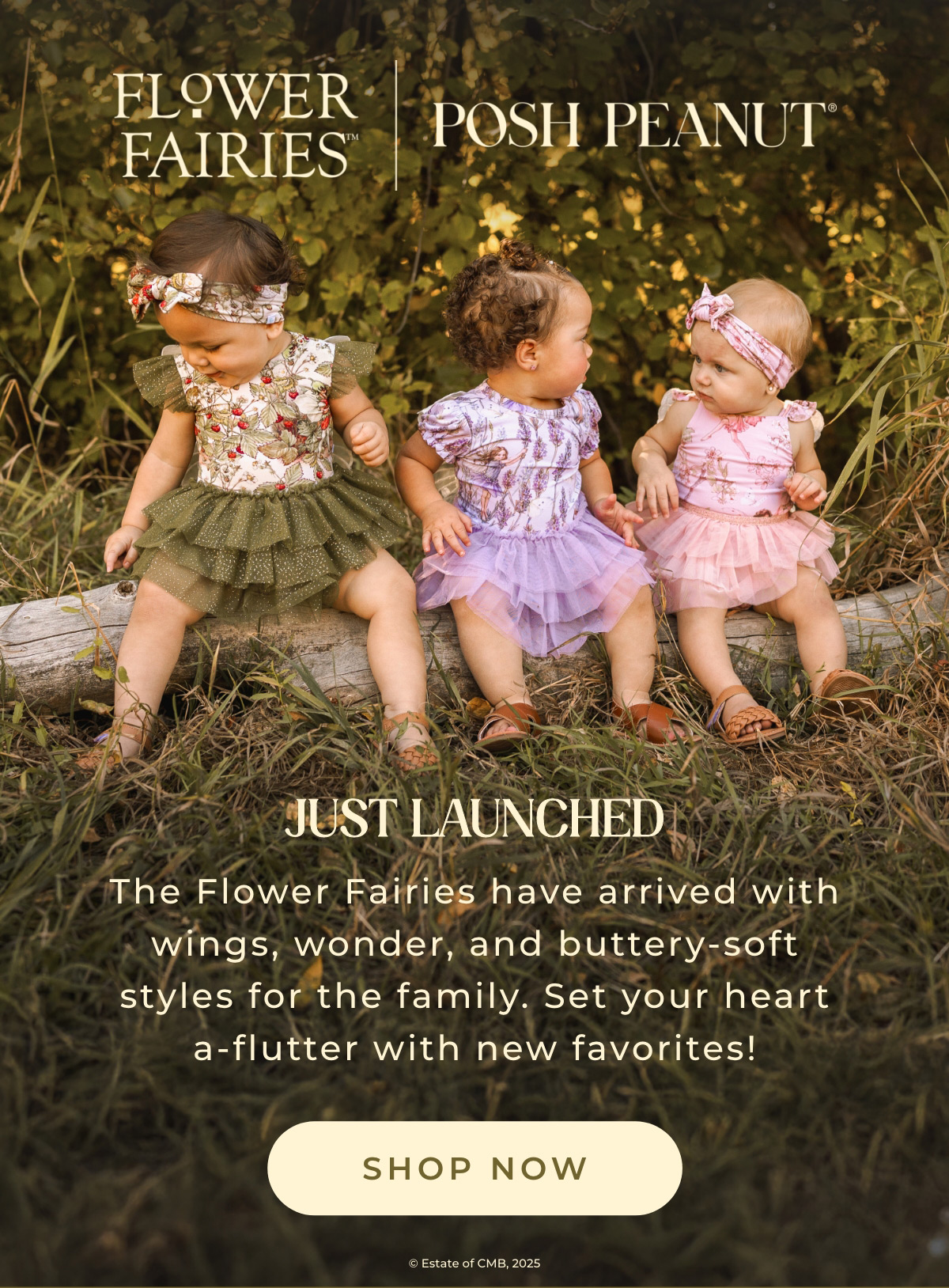 Flower Fairies x  Posh Peanut { Shop Now}