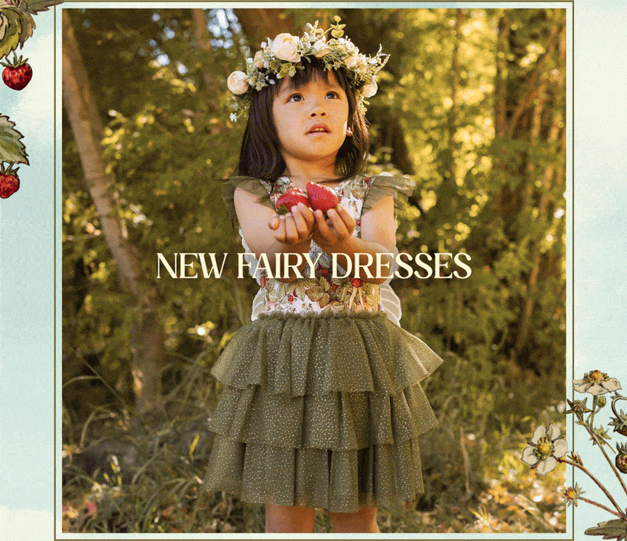 NEW FAIRY DRESSES
