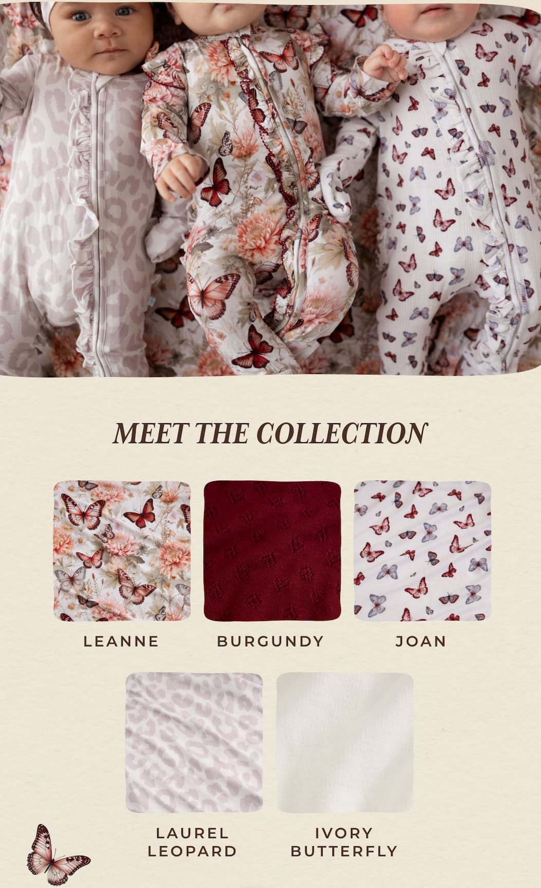 Meet the Collection