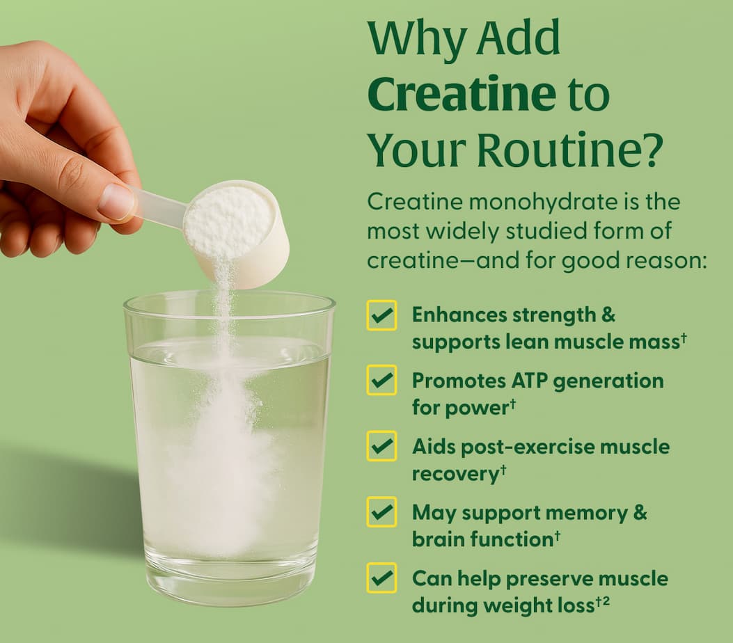 Why Add Creatine to Your Routine? | Creatine monohydrate is the most widely studied form of creatine—and for good reason: | Enhances strength & supports lean muscle mass† | Promotes ATP generation for power† | Aids post-exercise muscle recovery† | May support memory & brain function† | Can help preserve muscle during weight loss†(2) | TRY IT TODAY