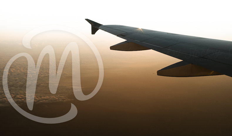 Plane wing over an ocean beach with the MegaFood M monogram on the sand