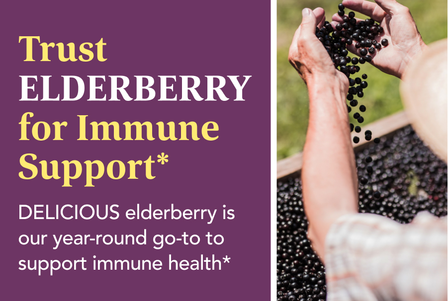 Trust Elderberry for immune support.*DELICIOUS elderberry is  our year-round go-to to  support immune health*