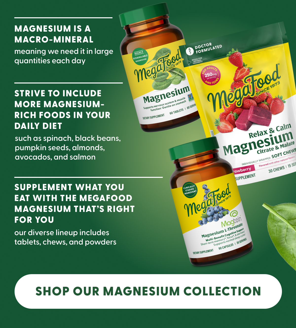 Magnesium Collection