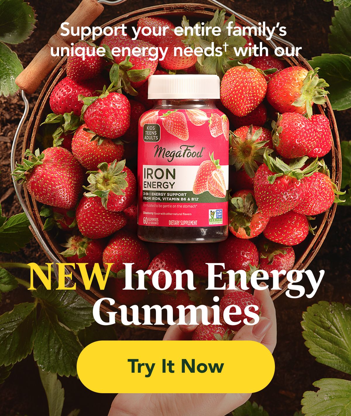 New Iron Energy Gummies
