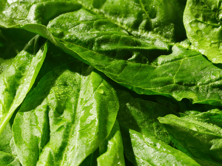 Spinach