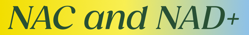 NAC and NAD+