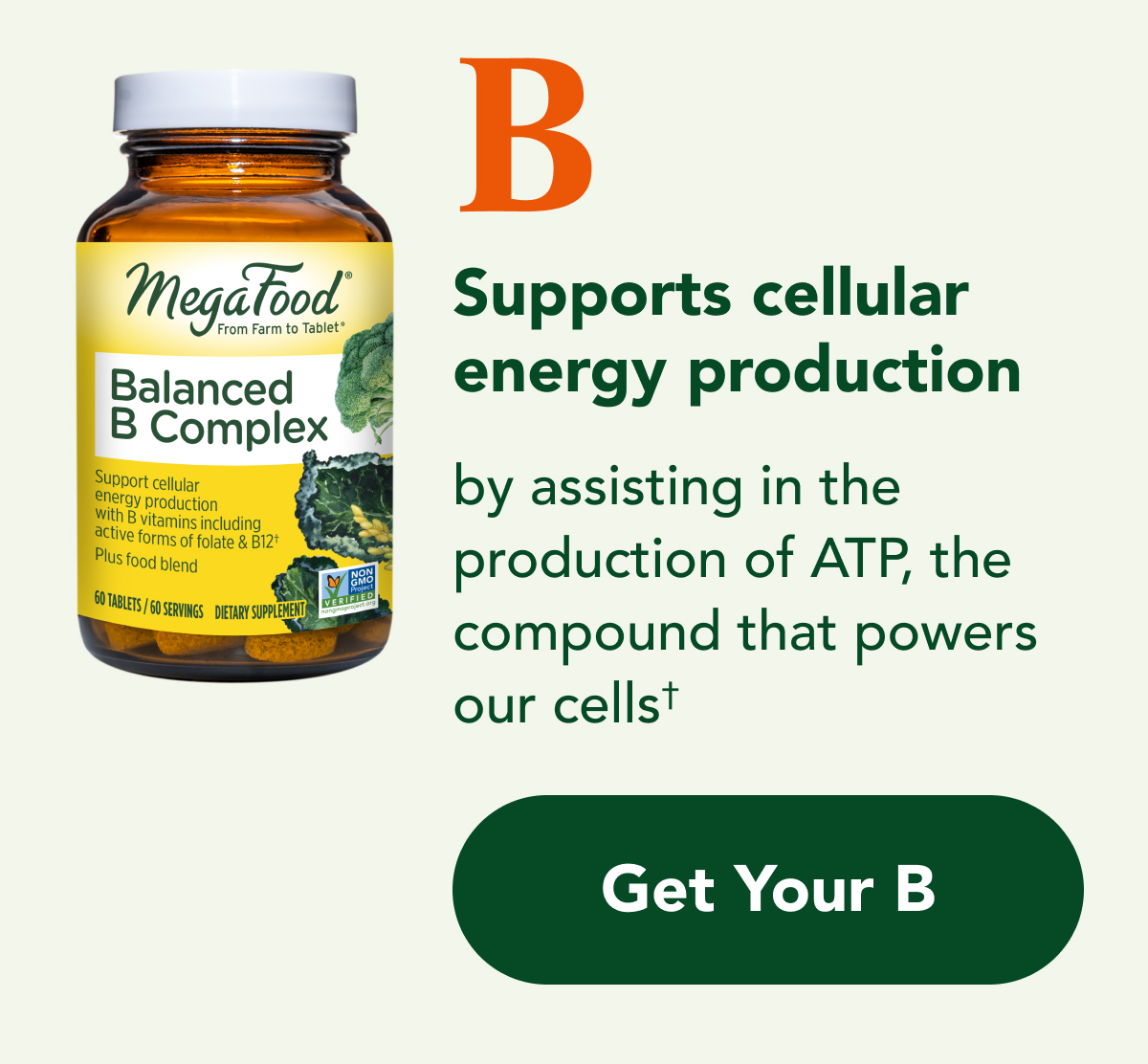 B  Supports cellular energy production by assisting in the production of ATP,  the compound that powers our cells† CTA: Get Your B