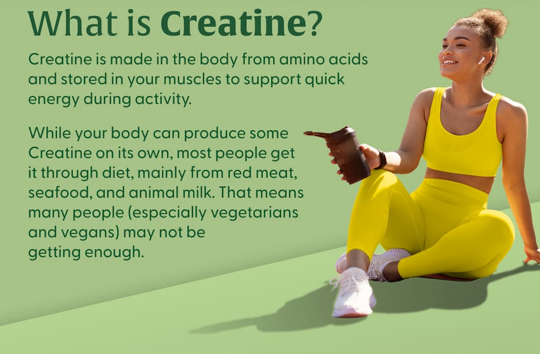 What is Creatine? | Creatine is made in the body from amino acids and stored in your muscles to support quick energy during activity. | While your body can produce some Creatine on its own, most people get it through diet, mainly from red meat, seafood, and animal milk. That means many people (especially vegetarians and vegans) may not be getting enough. | LEARN MORE