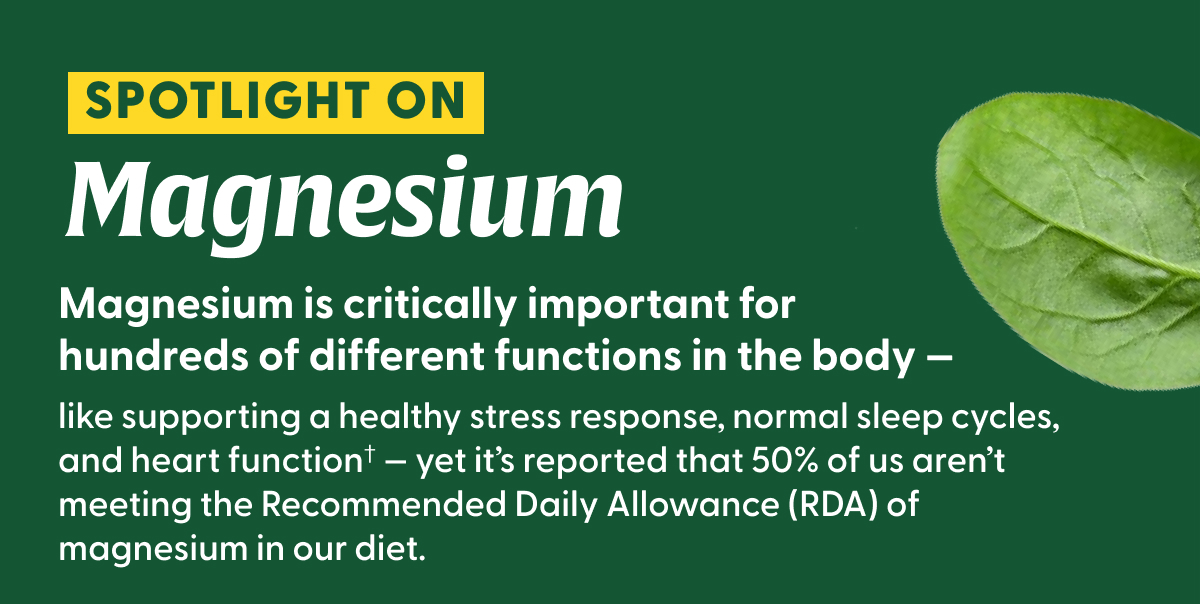 Spotlight On Magnesium