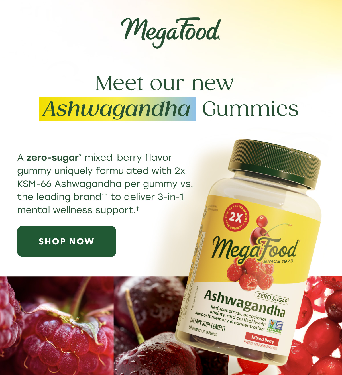 MegaFood (Logo) | Meet our new Ashwagandha Gummies  A zero-sugar* mixed-berry flavor gummy uniquely formulated with 2x KSM-66 Ashwagandha per gummy vs. the leading brand** to deliver 3-in-1 Mental Wellness Support.† | SHOP NOW