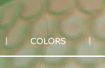 Jilzarah | COLORS
