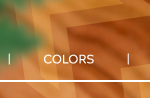 Jilzarah | COLORS