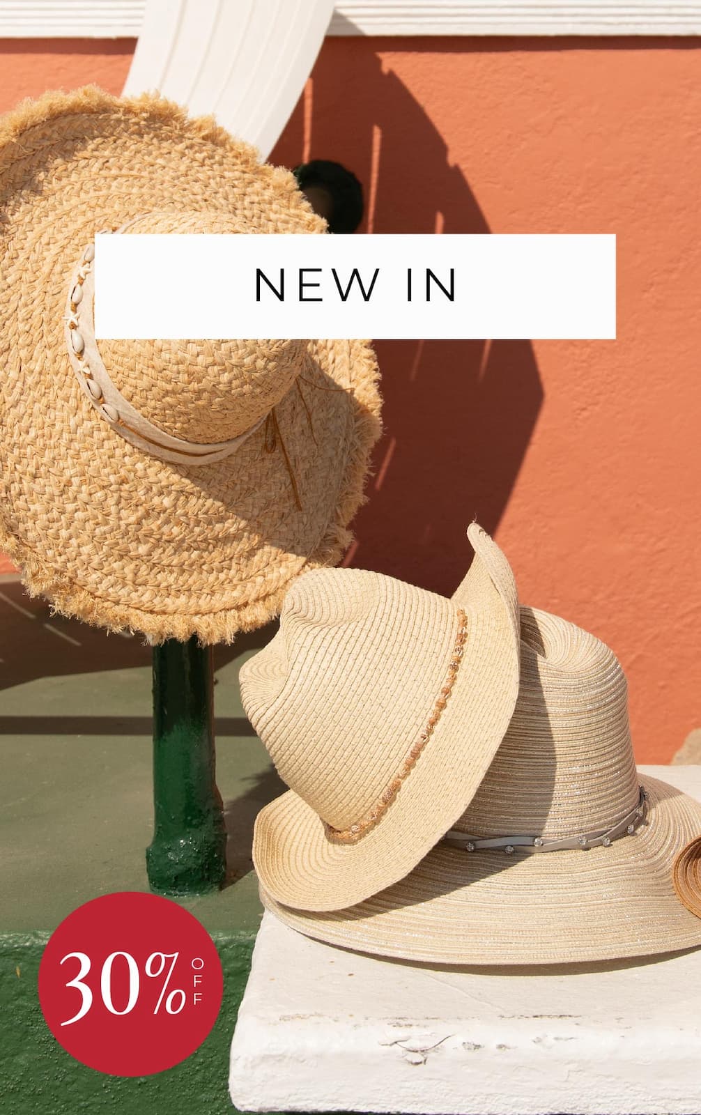 shop NEW IN