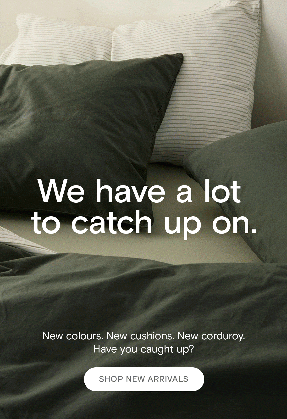 The Sheet Society AU, have you seen what's new? The Sheet Society AU