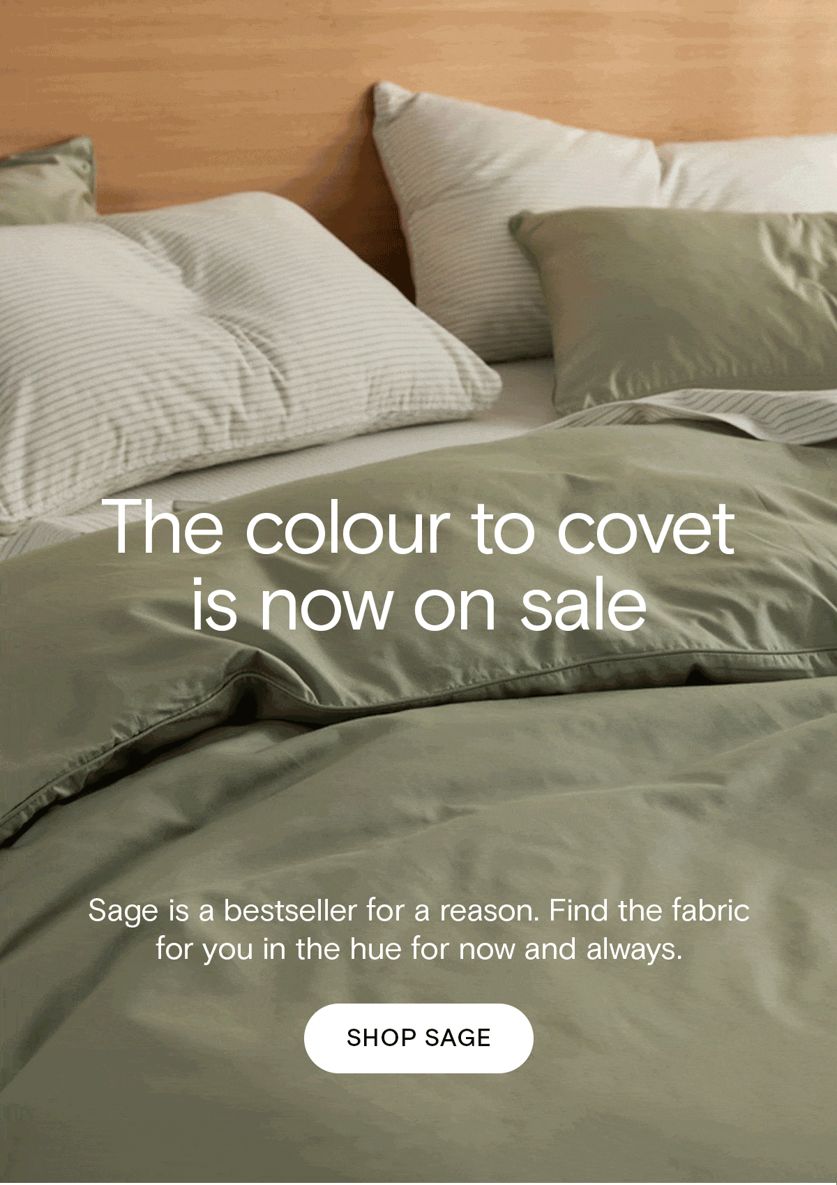 Get in your Sage Era 💚 Sheet Society