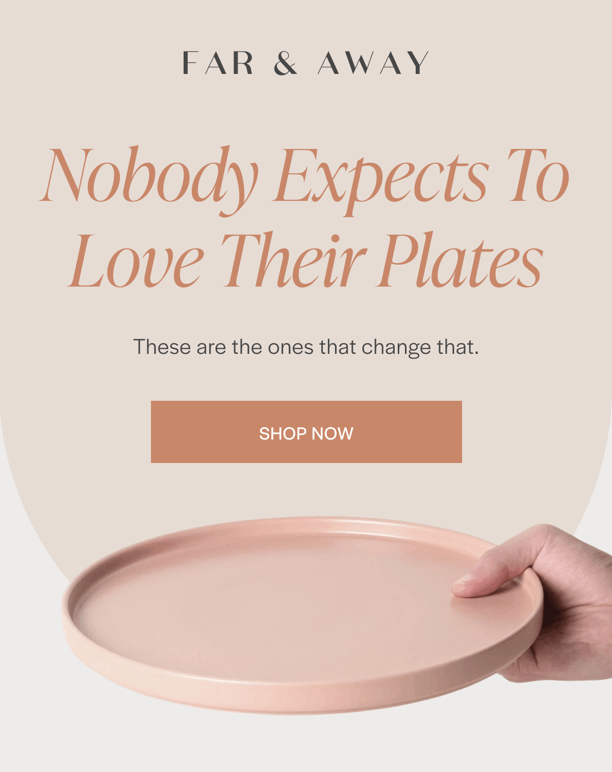 Nobody Expects To Love Their Plates