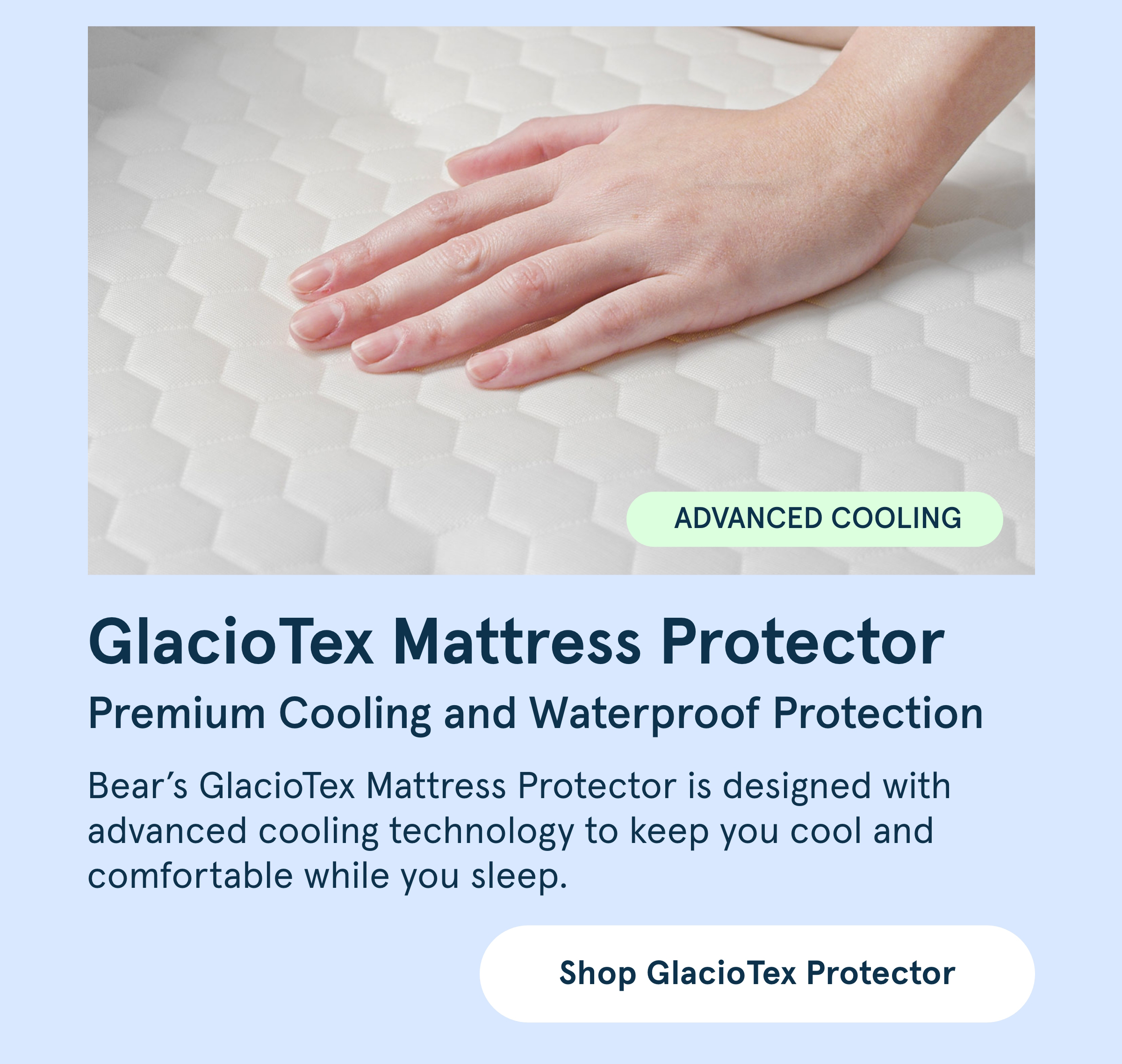 See What's New and Popular at Bear Bear Mattress