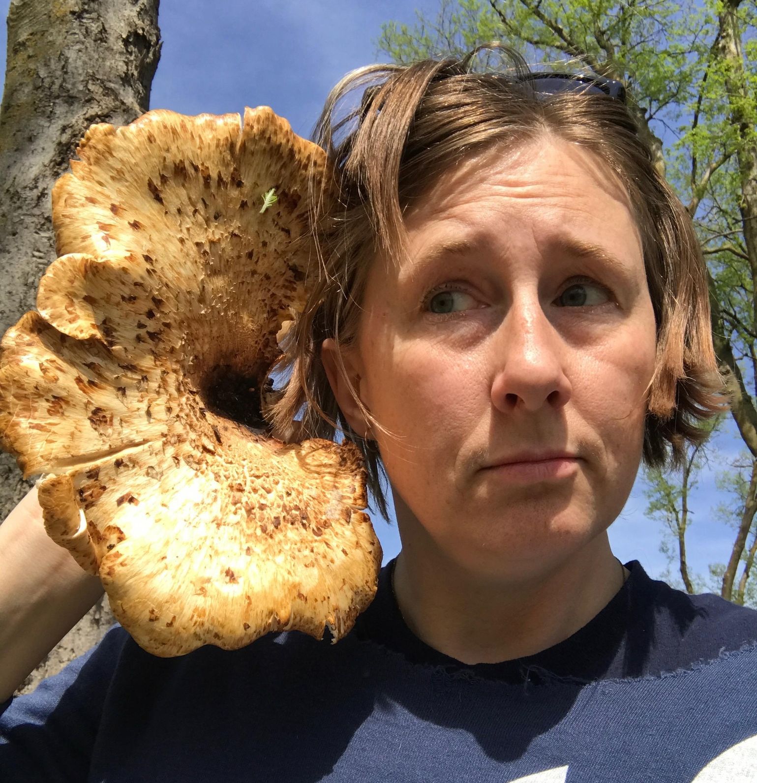 mushroom pics inside Real Mushrooms