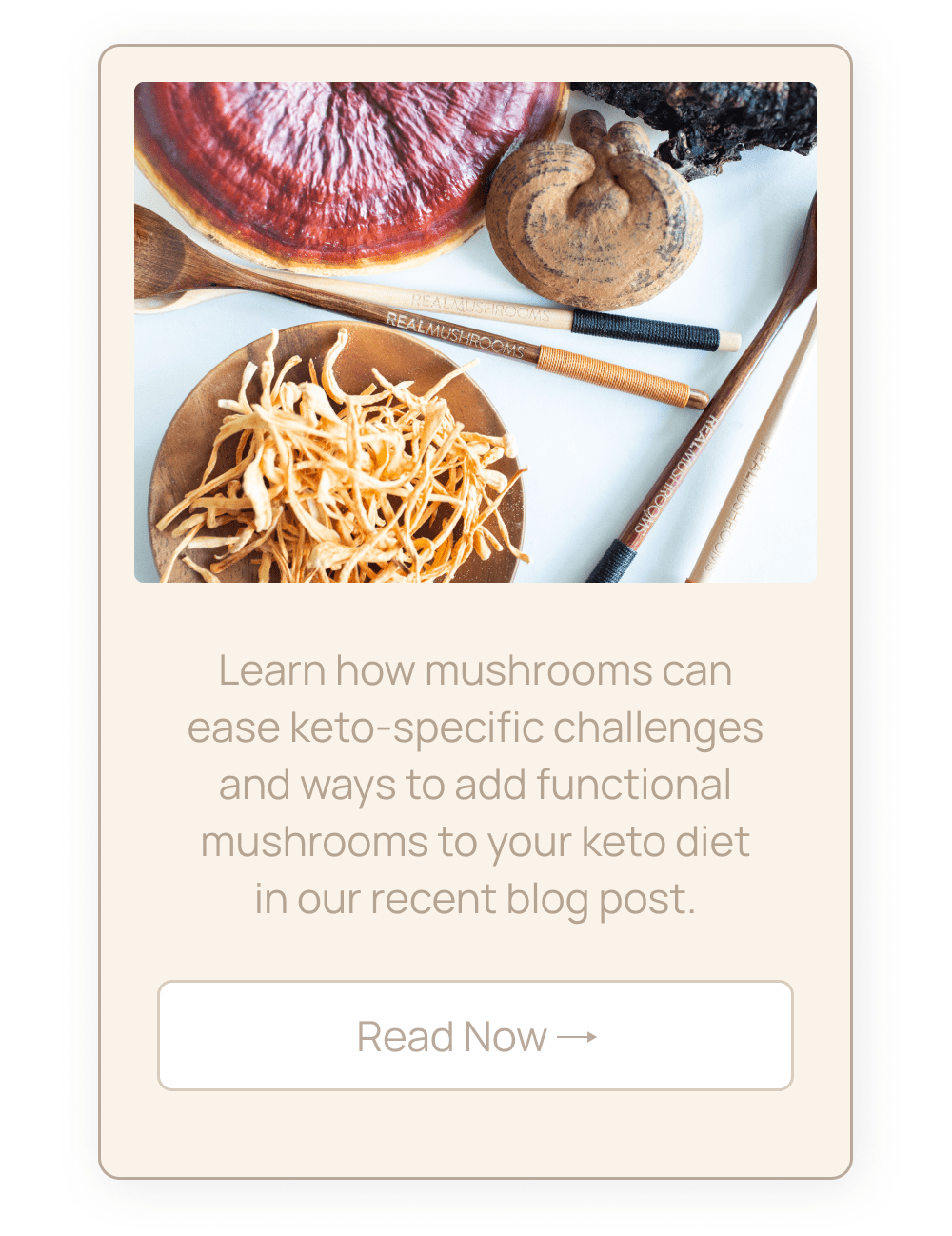Are Mushrooms Keto? Real Mushrooms