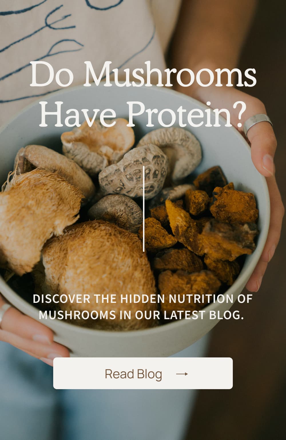 Do Mushrooms Have Protein? Real Mushrooms