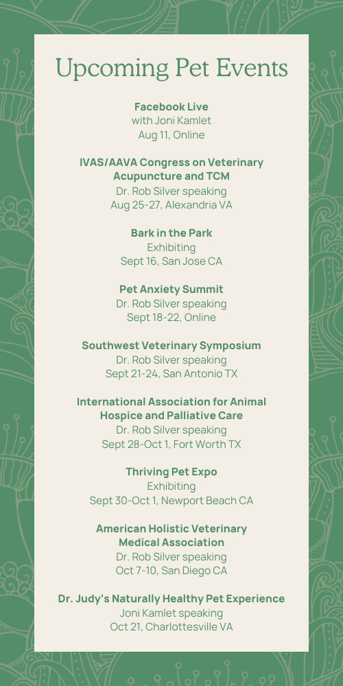 cats & mushrooms what you need to know Real Mushrooms