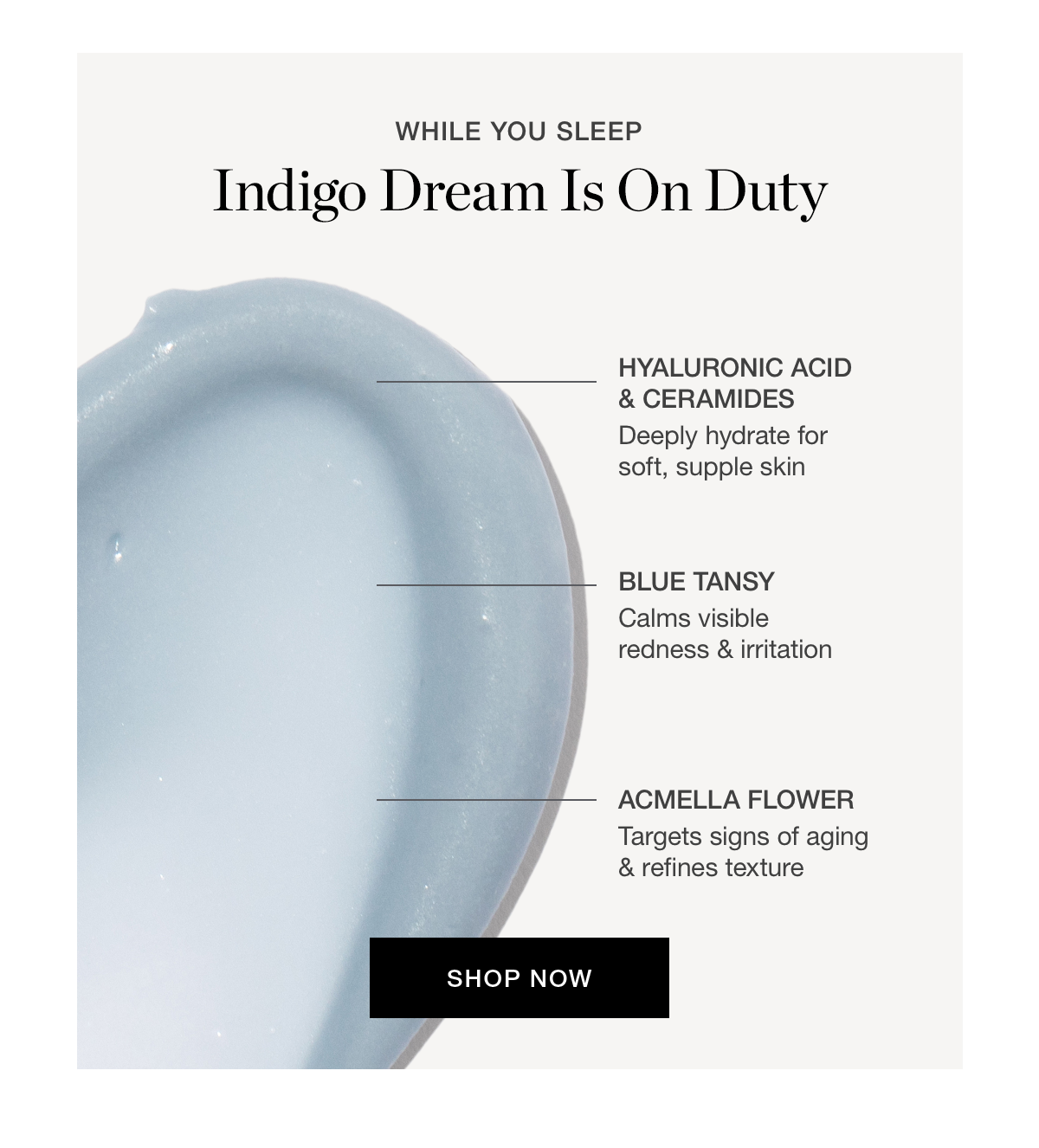 While You Sleep | Indigo Dream Is On Duty
