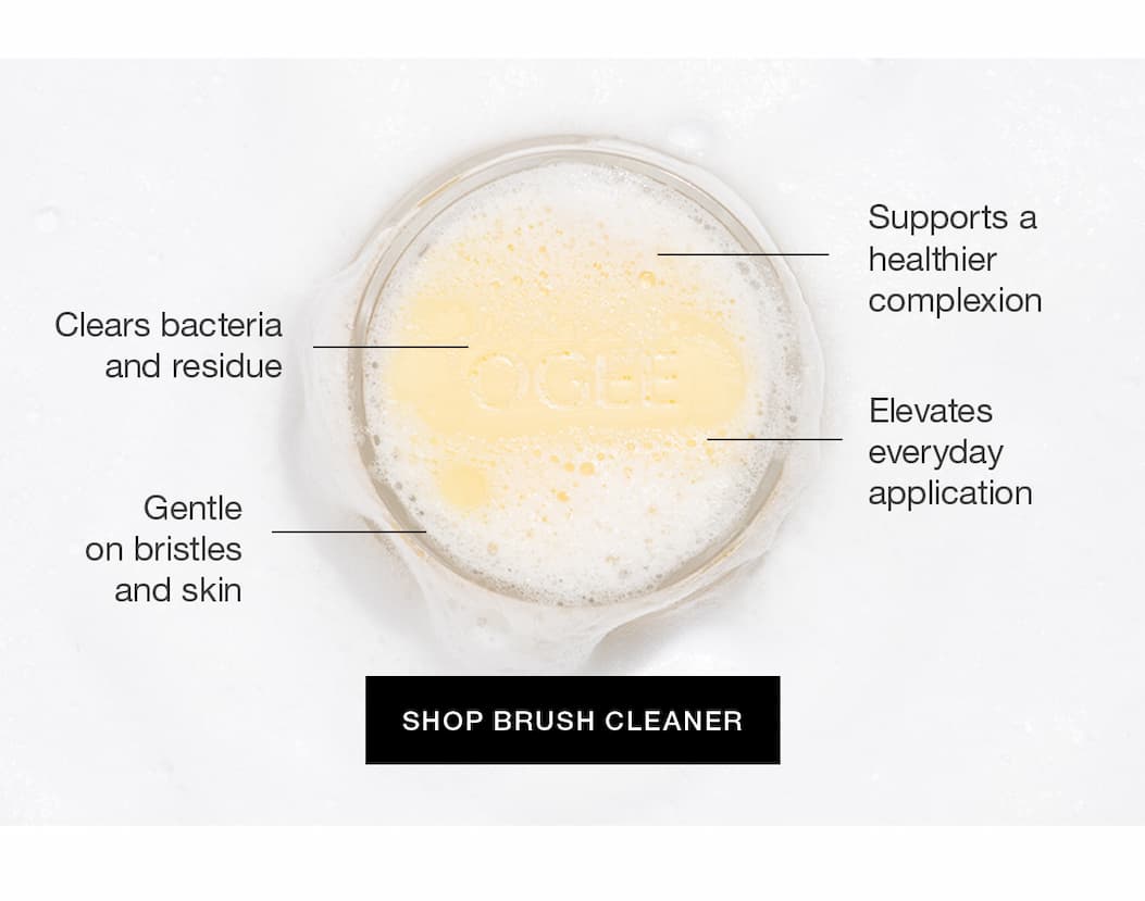 SHOP BRUSH CLEANSER