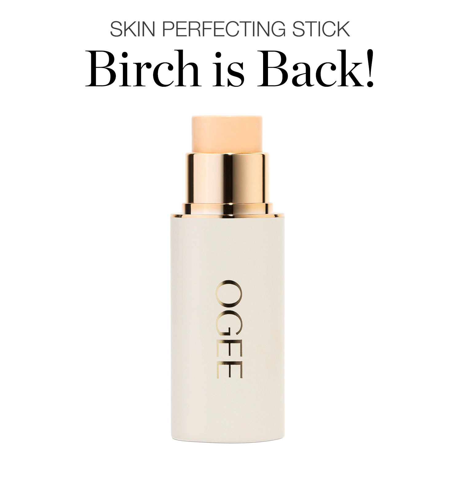 SKIN PERFECTING STICK - Birch is Back!