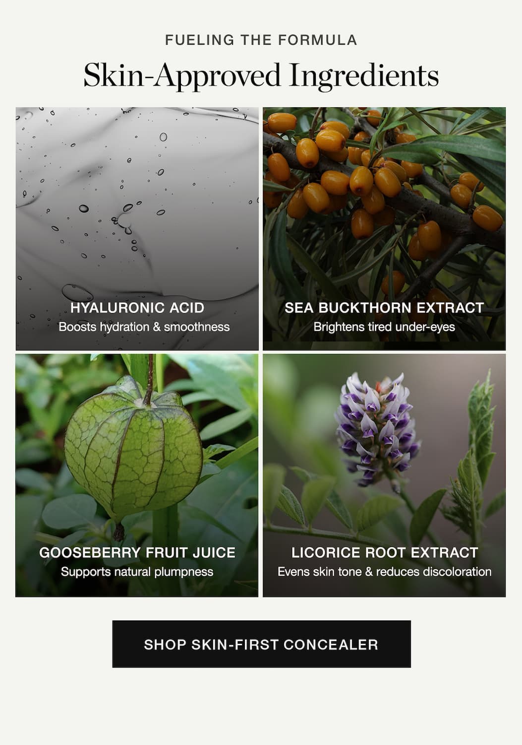 Skin-Approved Ingredients