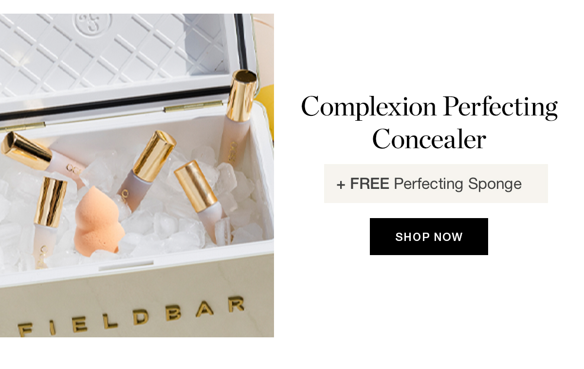 Complexion Perfecting Concealer + FREE Perfecting Sponge