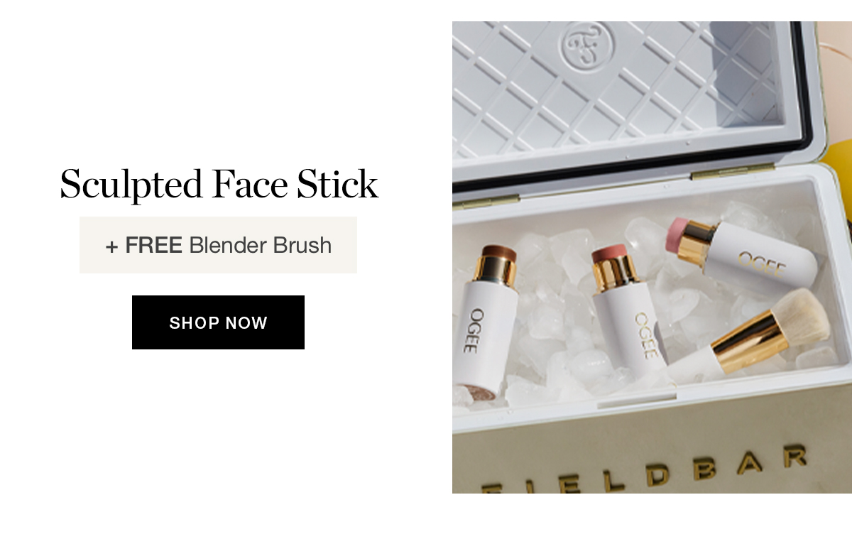 Sculpted Face Stick + FREE Blender Brush