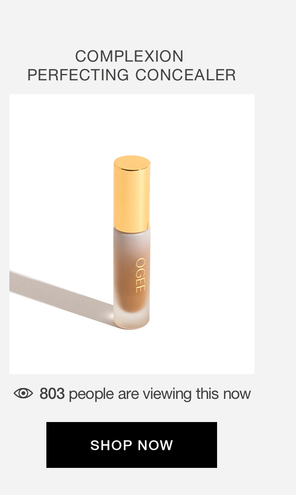 COMPLEXION PERFECTING CONCEALER