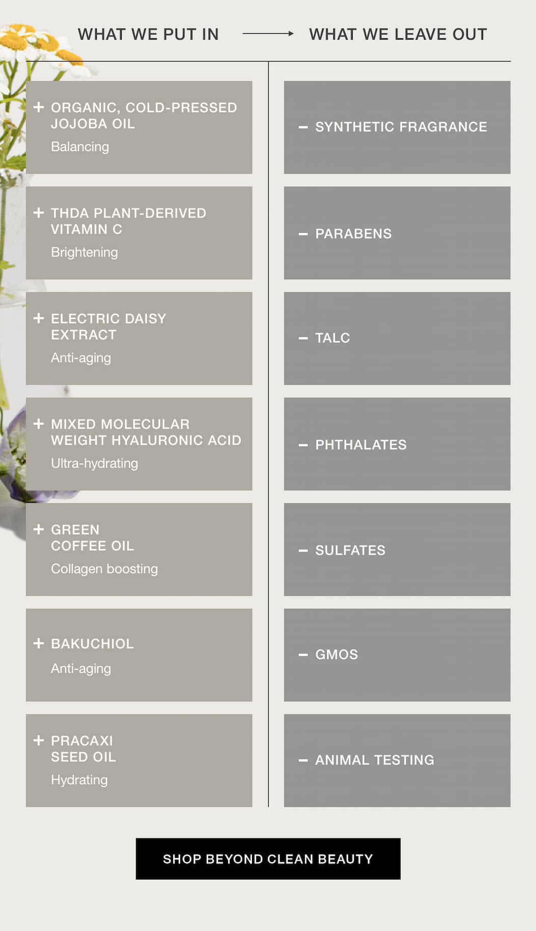 SHOP BEYOND CLEAN BEAUTY