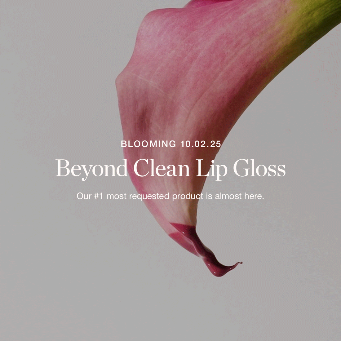 Our #1 most requested product is almost here.