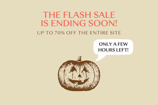 24-hour flash sale