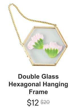 Double glass hexagonal hanging frame