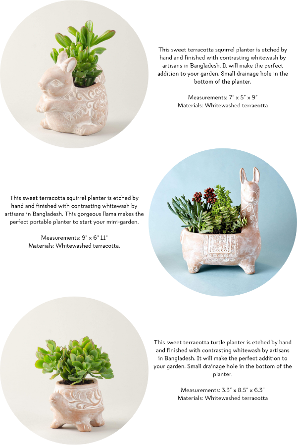 Whitewashed Terracotta planters