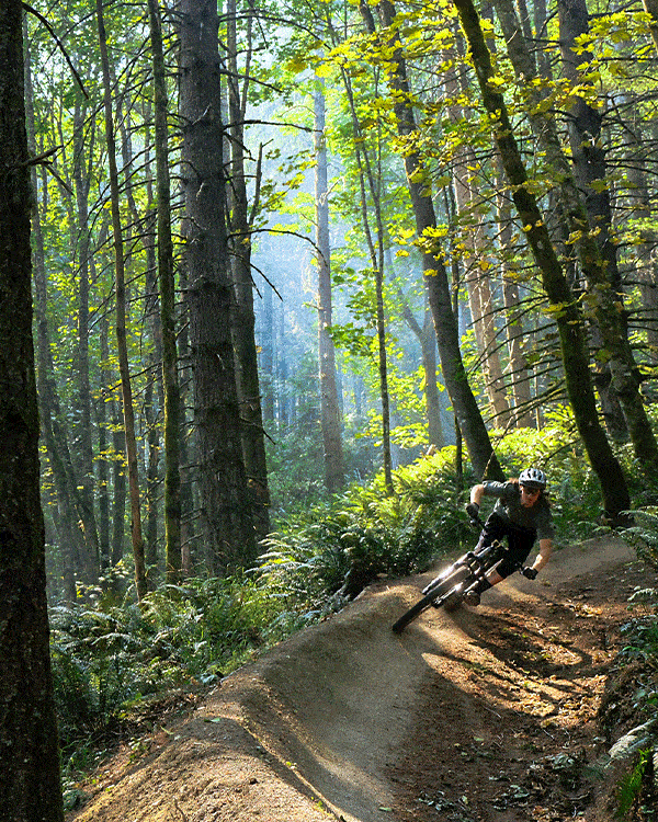Video Trevor Attridge sends everything he sees in SightLines. Norco